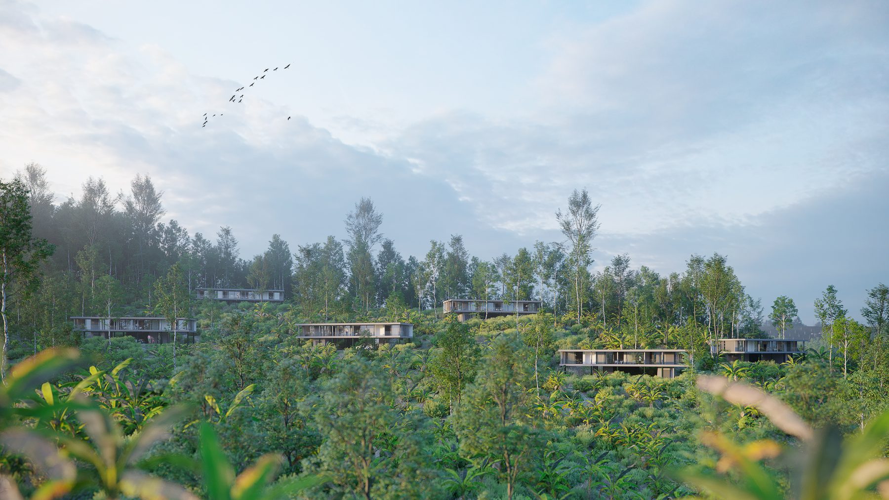 Forest pod residences nestled into the treeline at Serenity Hills